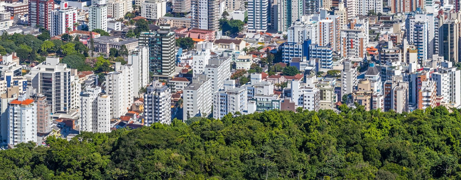 Dois mundos, o mesmo balanço: o que aprendi entre licenças ambientais e M&A